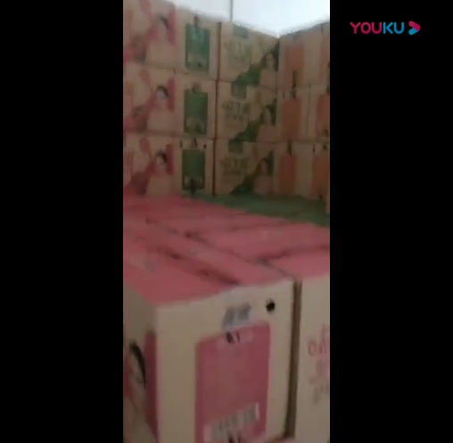 山东临沂客户龙8唯一官网益生菌发酵果汁到货现场视频